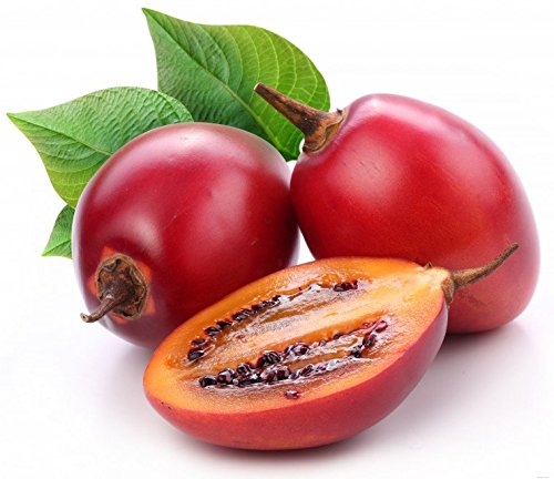 Noah's Seed Depository tamarillo seeds in a 35-pack ready for home planting