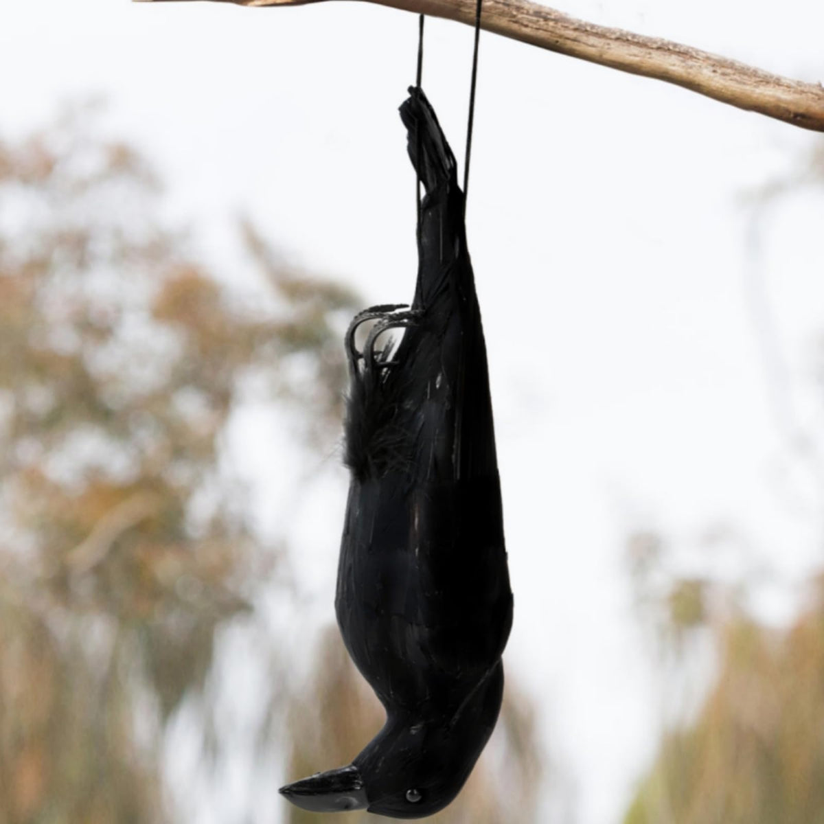 Noamus 17inch hanging crow with lifelike feathers for outdoor deterrence.