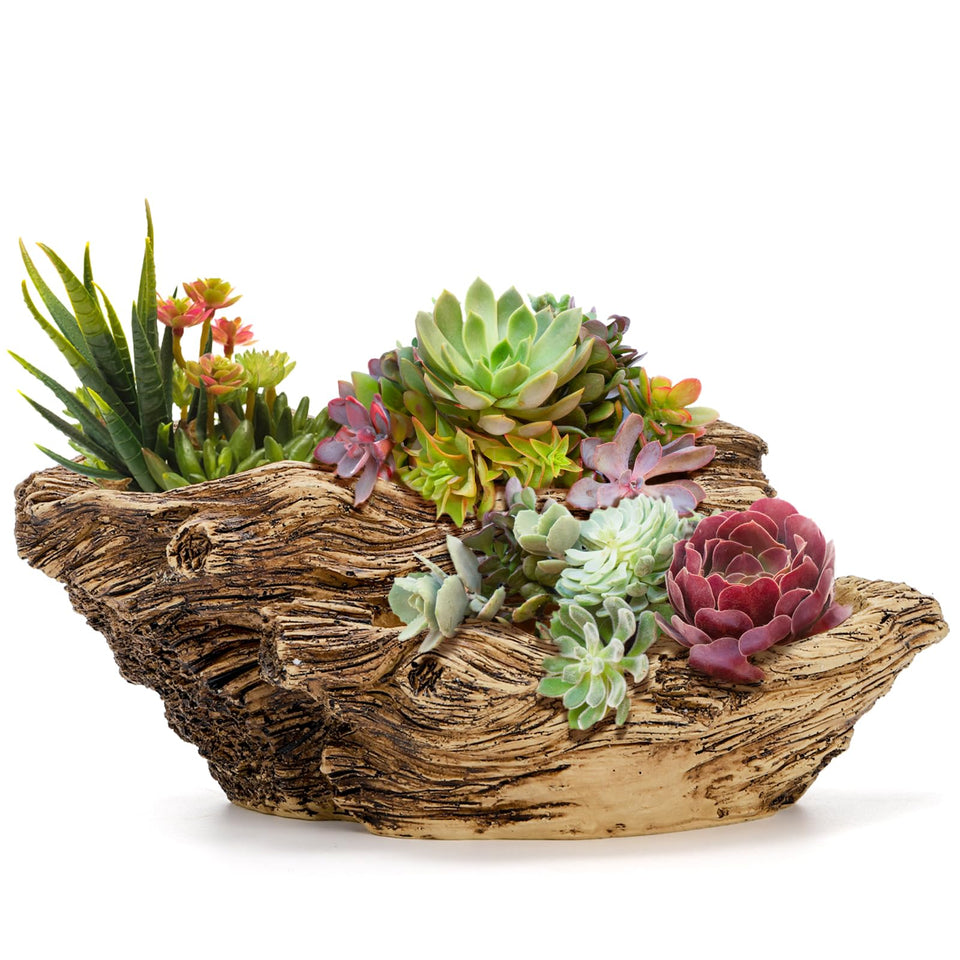 Noamus artificial driftwood planter enhances indoor display with natural texture.
