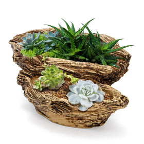 Noamus drought-tolerant herb container keeps kitchen herbs organized.