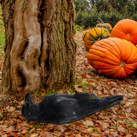 Noamus halloween-decor crow adds spooky charm to porches.