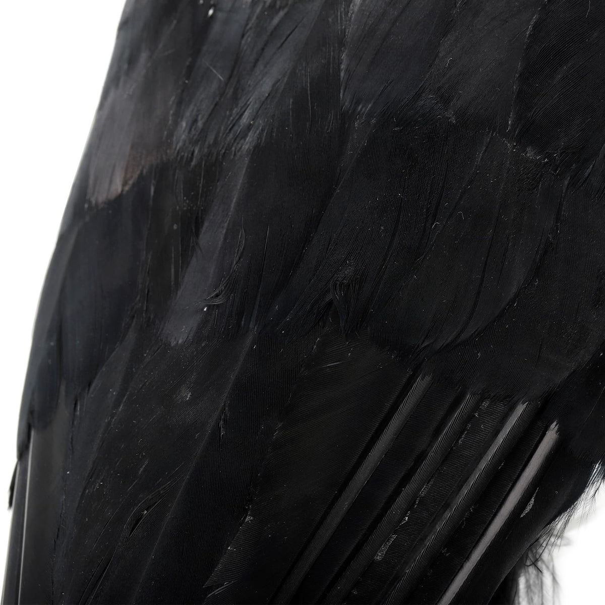 Noamus handmade-decor-crow features sturdy plastic and feather detail.