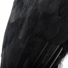 Noamus handmade-decor-crow features sturdy plastic and feather detail.