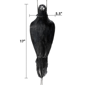 Noamus lifelike feathers crow detail enhances Halloween and party decor.