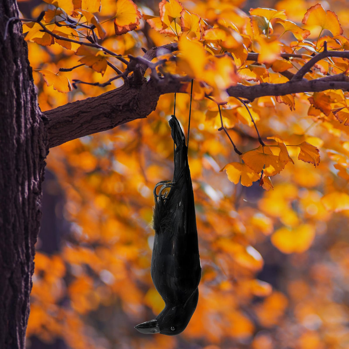 Noamus outdoor-scare-crow helps deter real birds with a natural look.