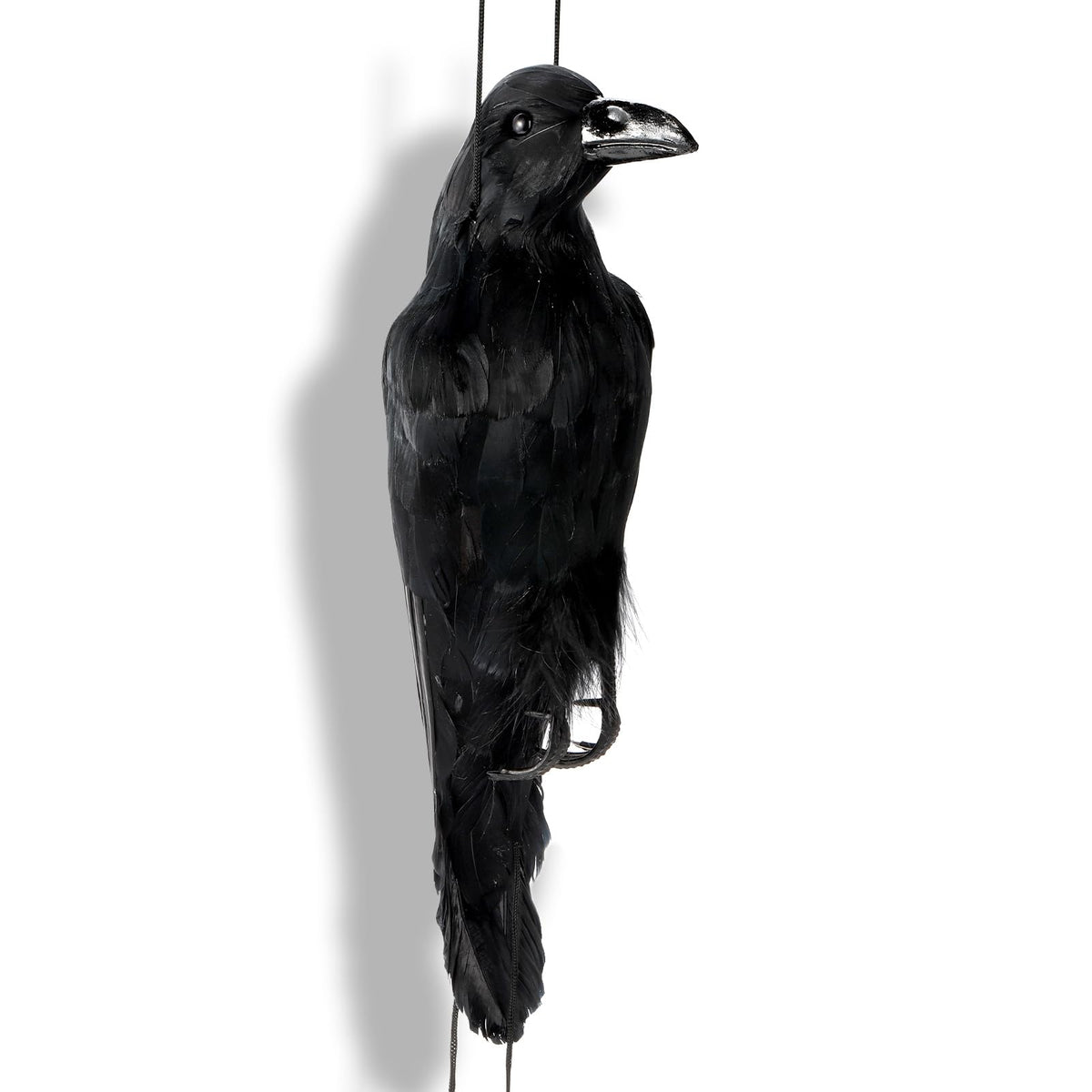 Noamus photo-prop-crow creates dramatic visuals for themed shoots.