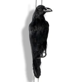 Noamus photo-prop-crow creates dramatic visuals for themed shoots.