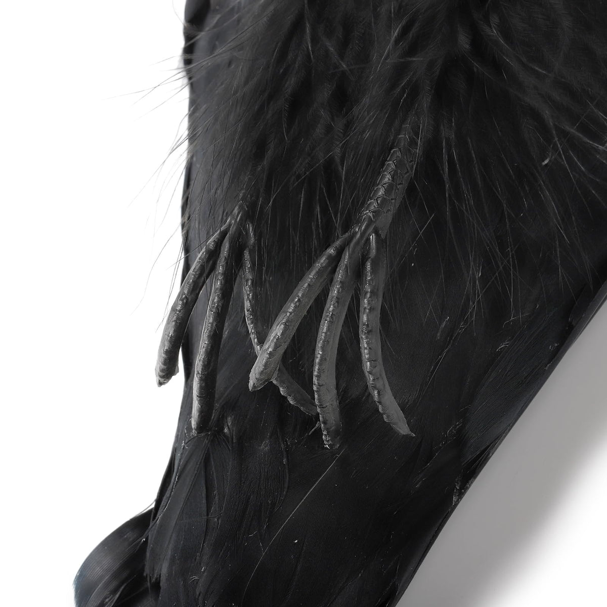 Noamus porch-display-crow hangs easily for instant yard decor.