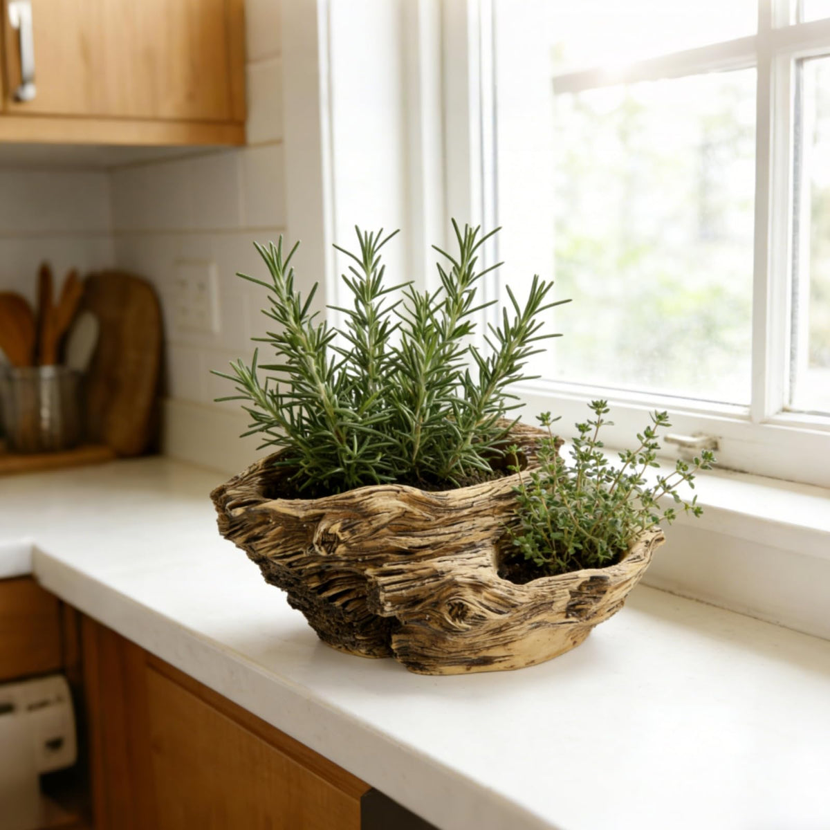 Noamus resin sculpture planter mimics driftwood while resisting rot.