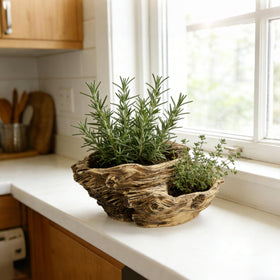 Noamus resin sculpture planter mimics driftwood while resisting rot.