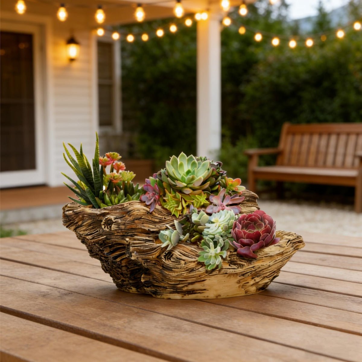 Noamus rustic stump cactus holder adds rustic charm to shelves.