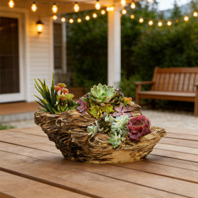 Noamus rustic stump cactus holder adds rustic charm to shelves.