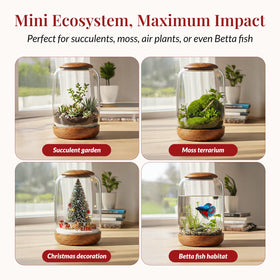 NoctisCorvus Betta habitat fits desks or shelves with elegant housing.