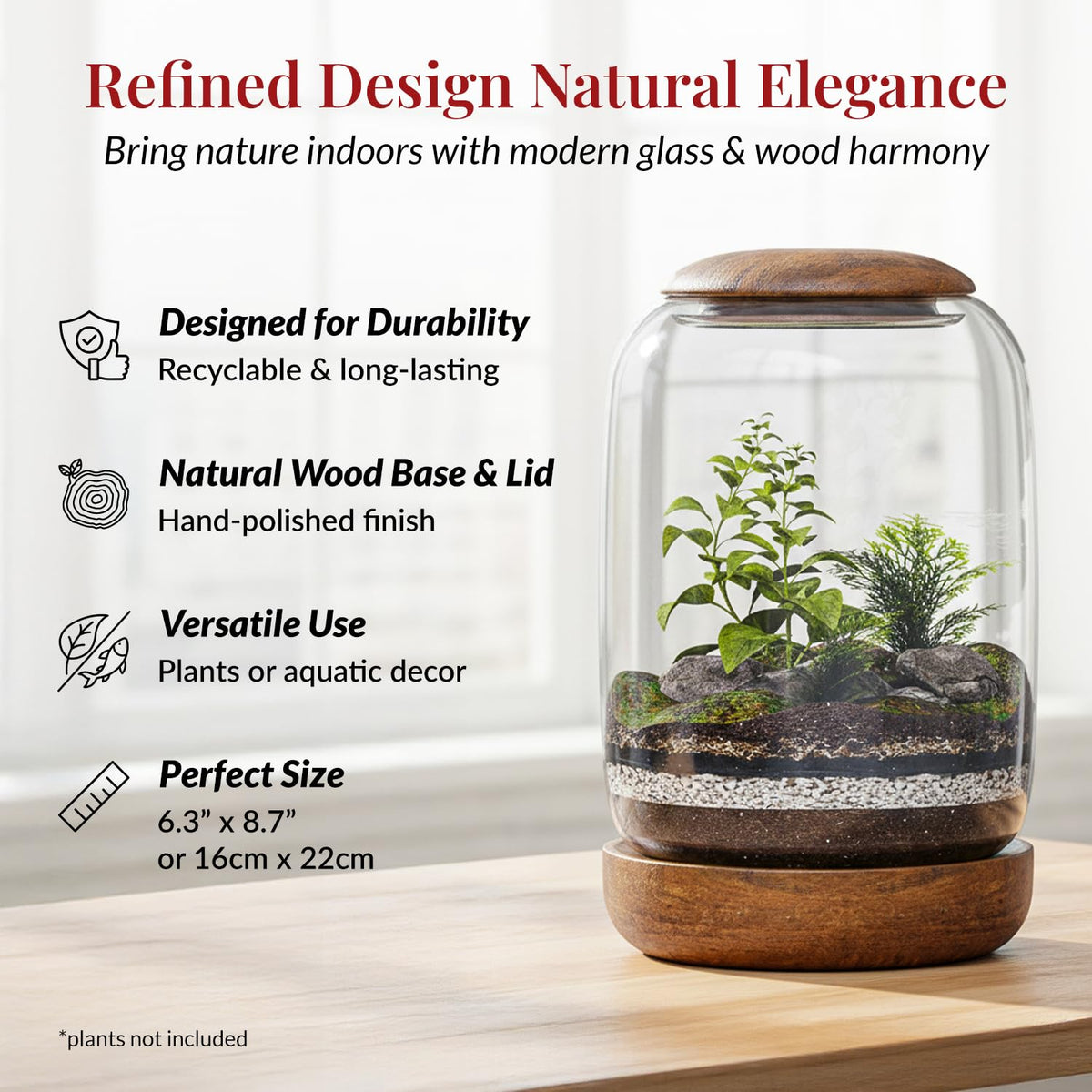 NoctisCorvus decor setup blends glass and wood for modern interiors.