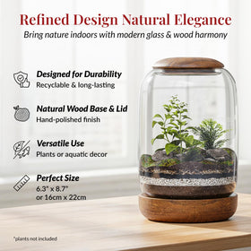 NoctisCorvus decor setup blends glass and wood for modern interiors.