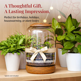 NoctisCorvus glass detail provides a crisp view of your mini garden.