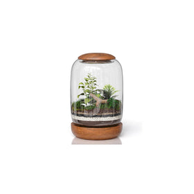 NoctisCorvus glass terrarium offers a bright, clear display for plants and decor.