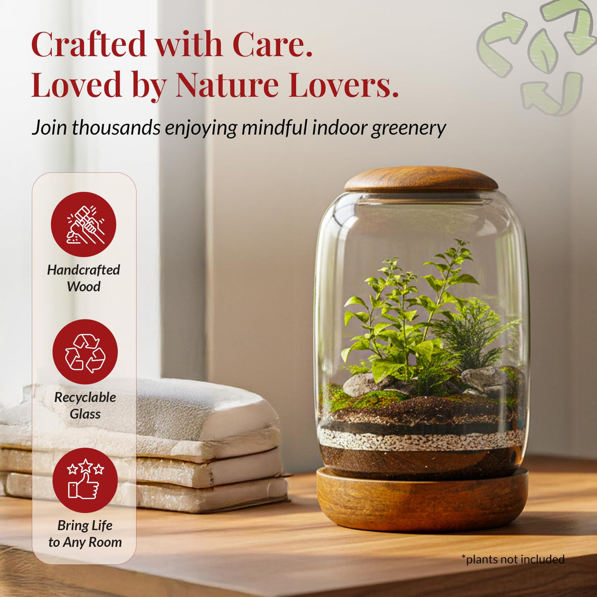 NoctisCorvus mini garden inside encourages easy, stylish plant display.