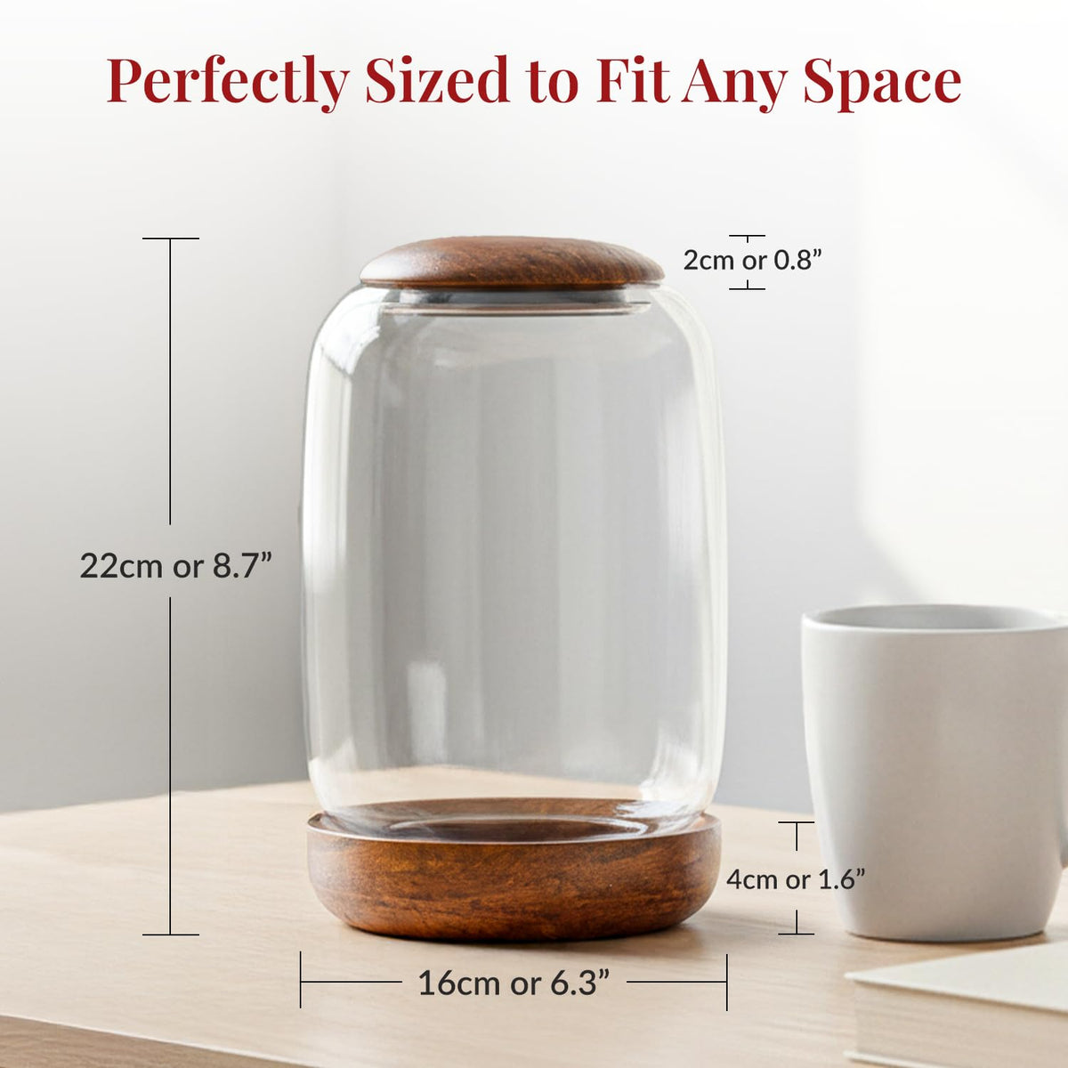 NoctisCorvus wooden lid enhances natural aesthetics and protects terrarium contents.