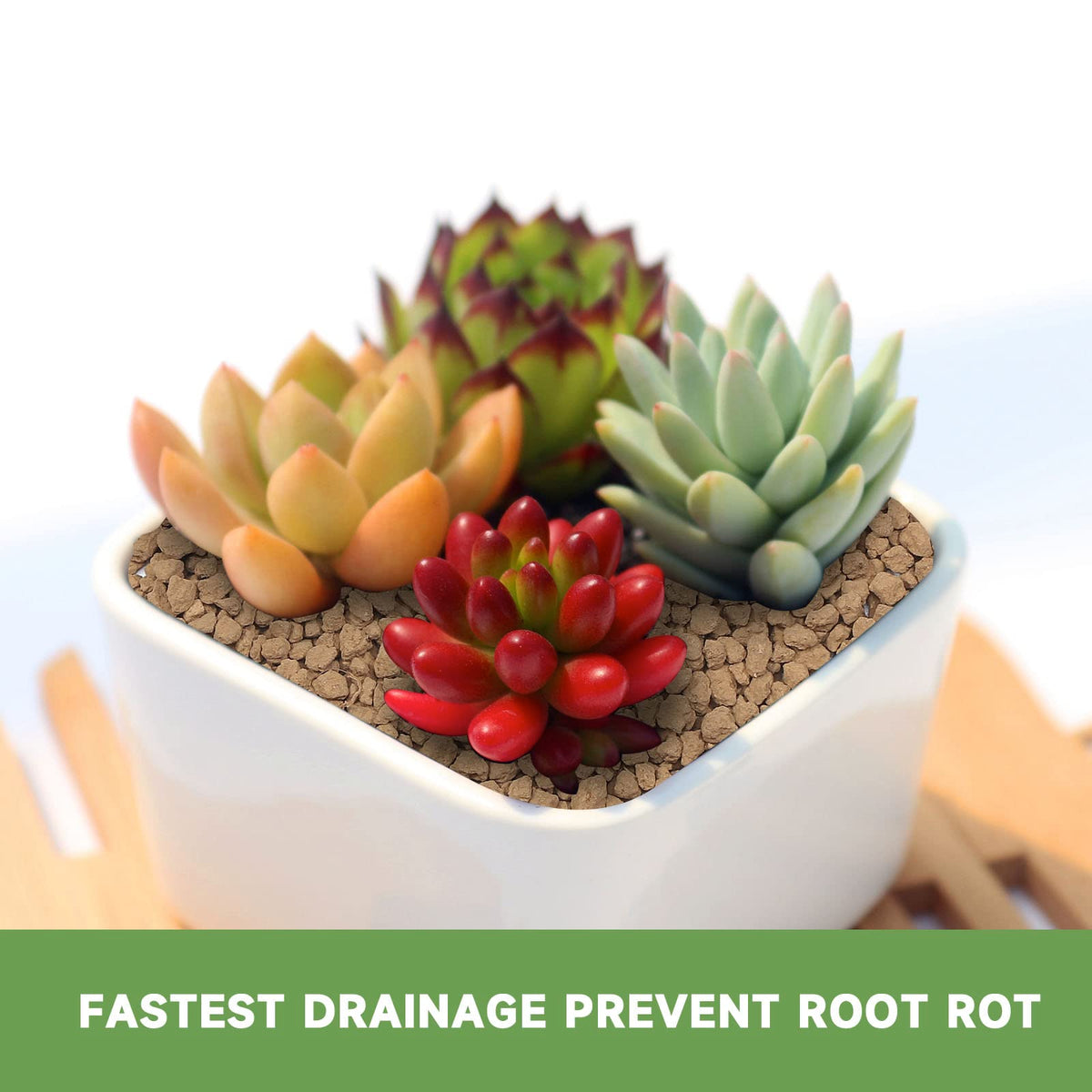 NOHOBE Akadama provides fast drainage while retaining moisture for resilient plant growth.