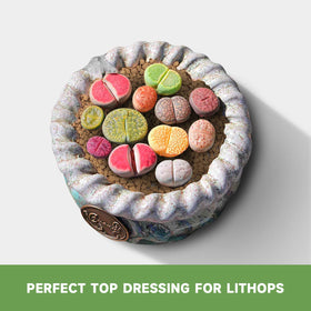 NOHOBE professional-grade packaging seals freshness; easy to open and store between uses.
