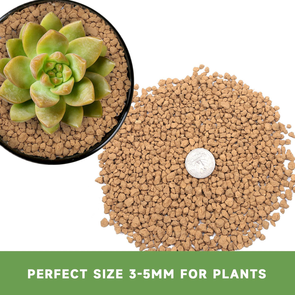 NOHOBE bonsai soil color-change indicator highlights when to water for optimal care.