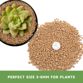 NOHOBE bonsai soil color-change indicator highlights when to water for optimal care.