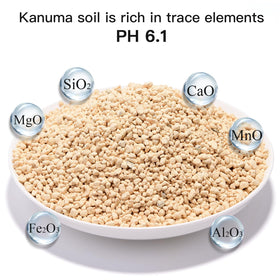 NOHOBE Kanuma soil in bonsai setup demonstrating ideal medium for compact trees