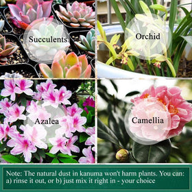 NOHOBE Kanuma soil pH balance view indicating natural acidity