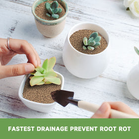 NOHOBE compatible mixes allow diverse bonsai and succulent soil blends for customized care.