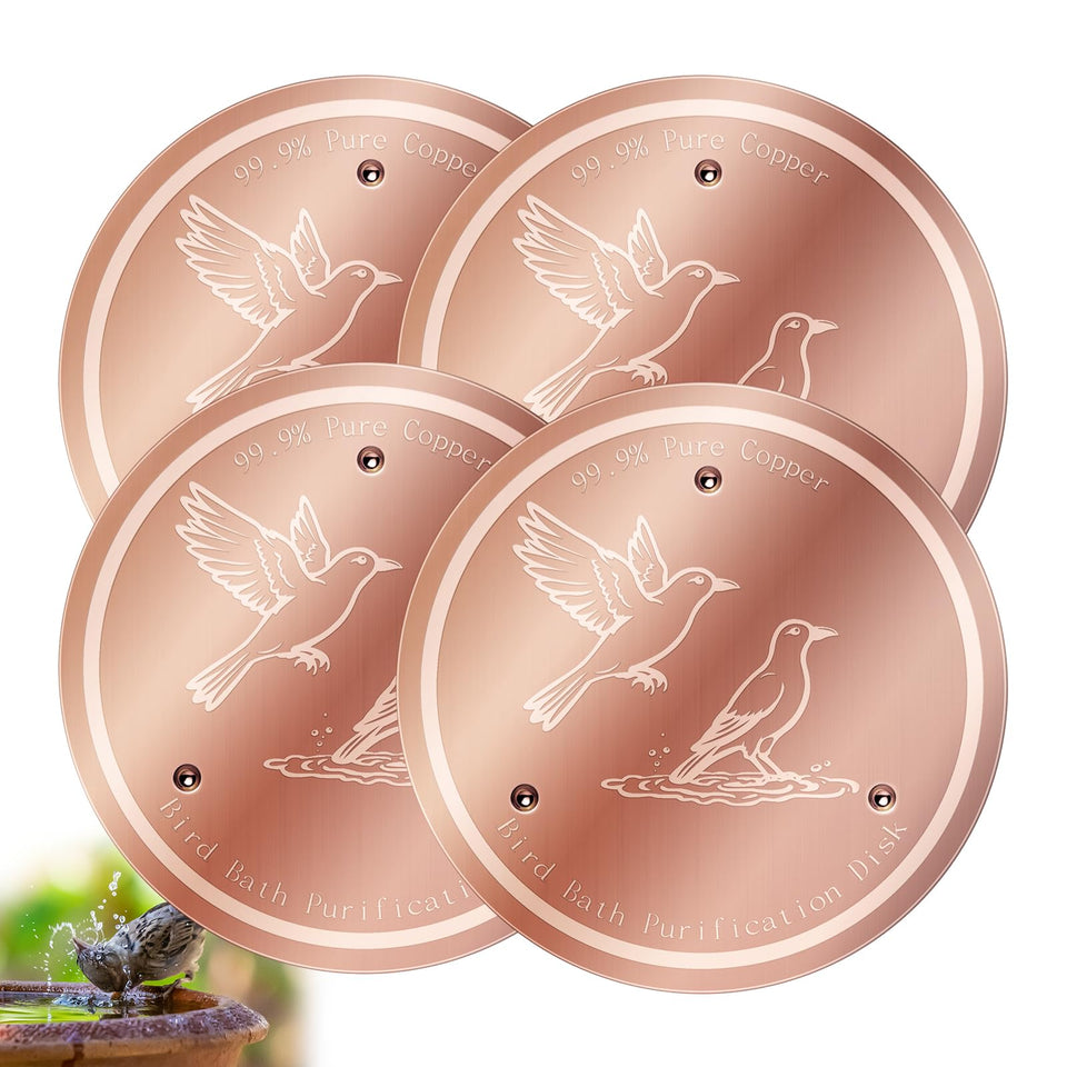 NOKOXIN bird bath copper disk close-up highlighting pure copper surface for clearer water