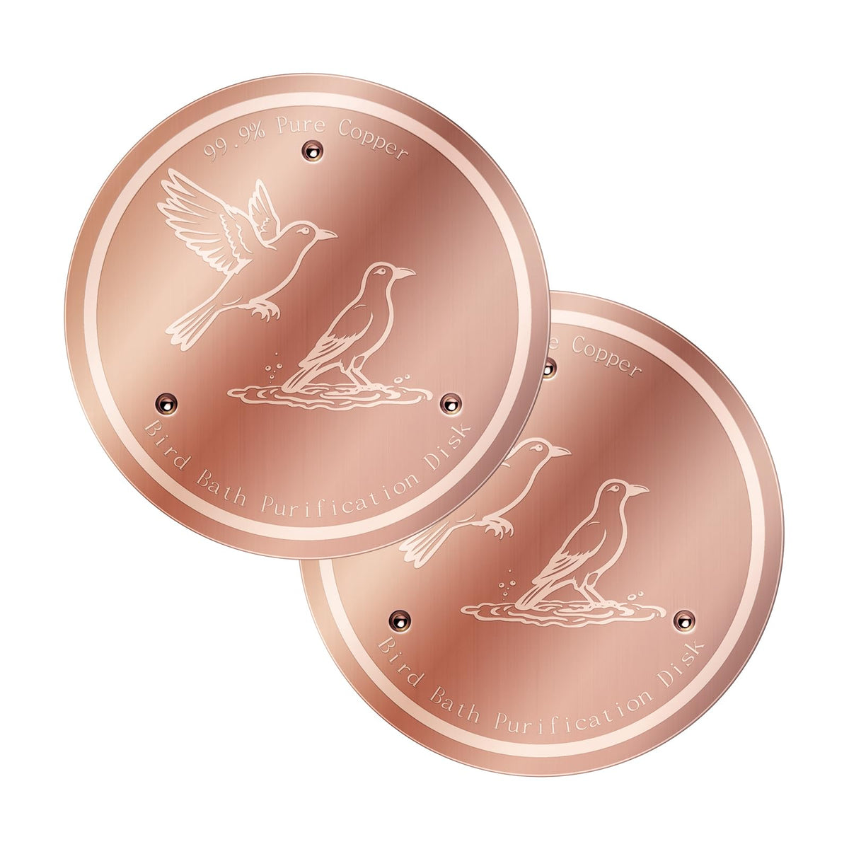 NOKOXIN Bird Bath Copper Disk close-up showing copper purity for clearer water.