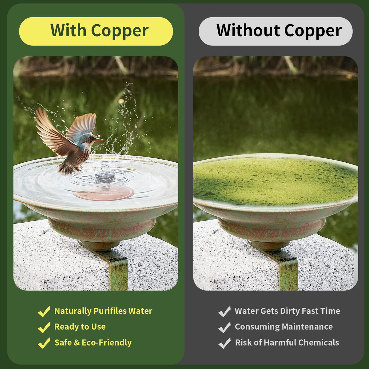 NOKOXIN copper disk installed in a bowl shows enhanced water freshness