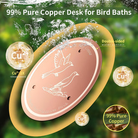 NOKOXIN copper disk in a bird bath enhancing water clarity