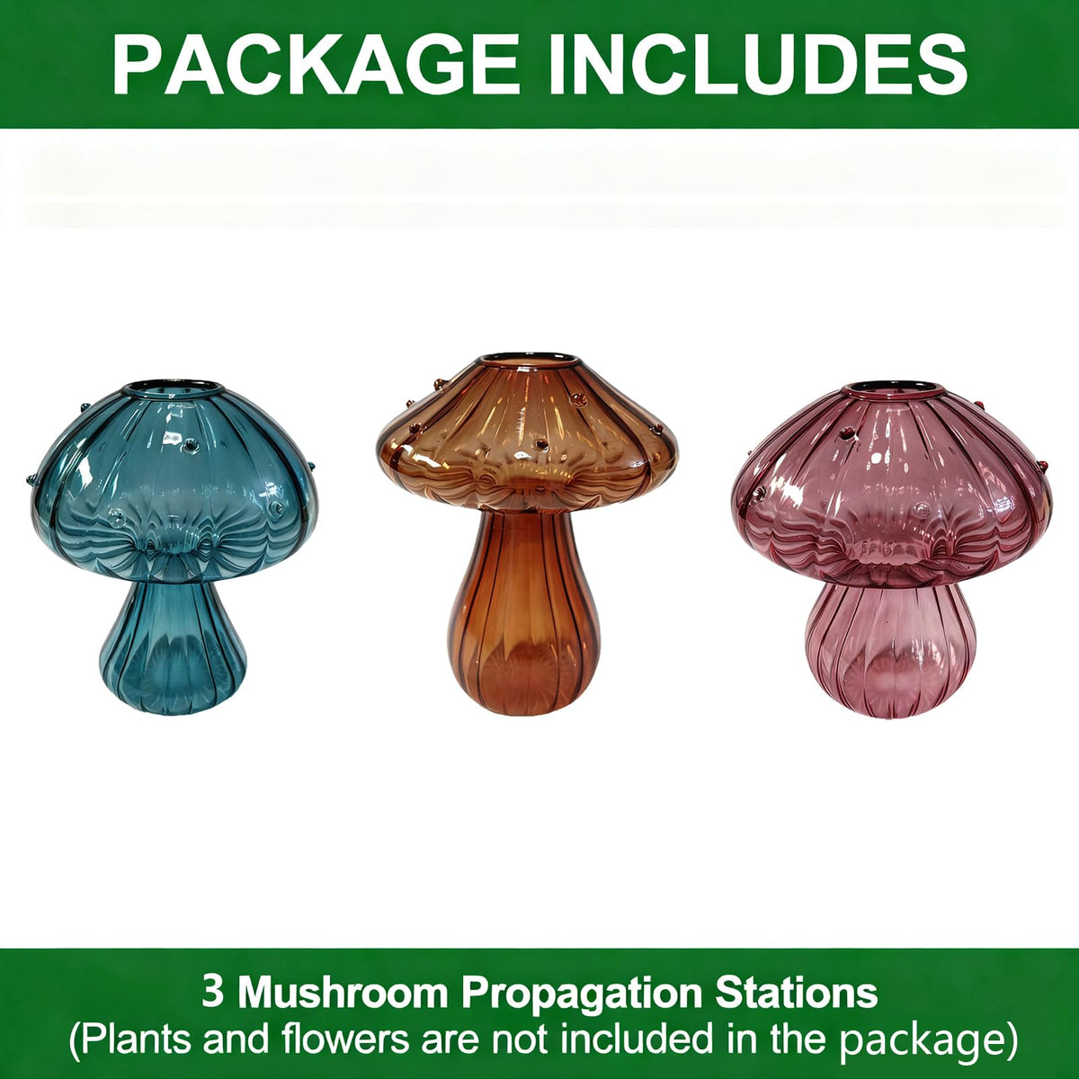 Safe packaging protects NOLIPED glass mushroom vases during delivery.