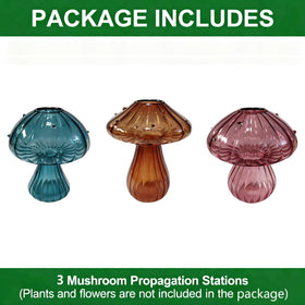 Safe packaging protects NOLIPED glass mushroom vases during delivery.