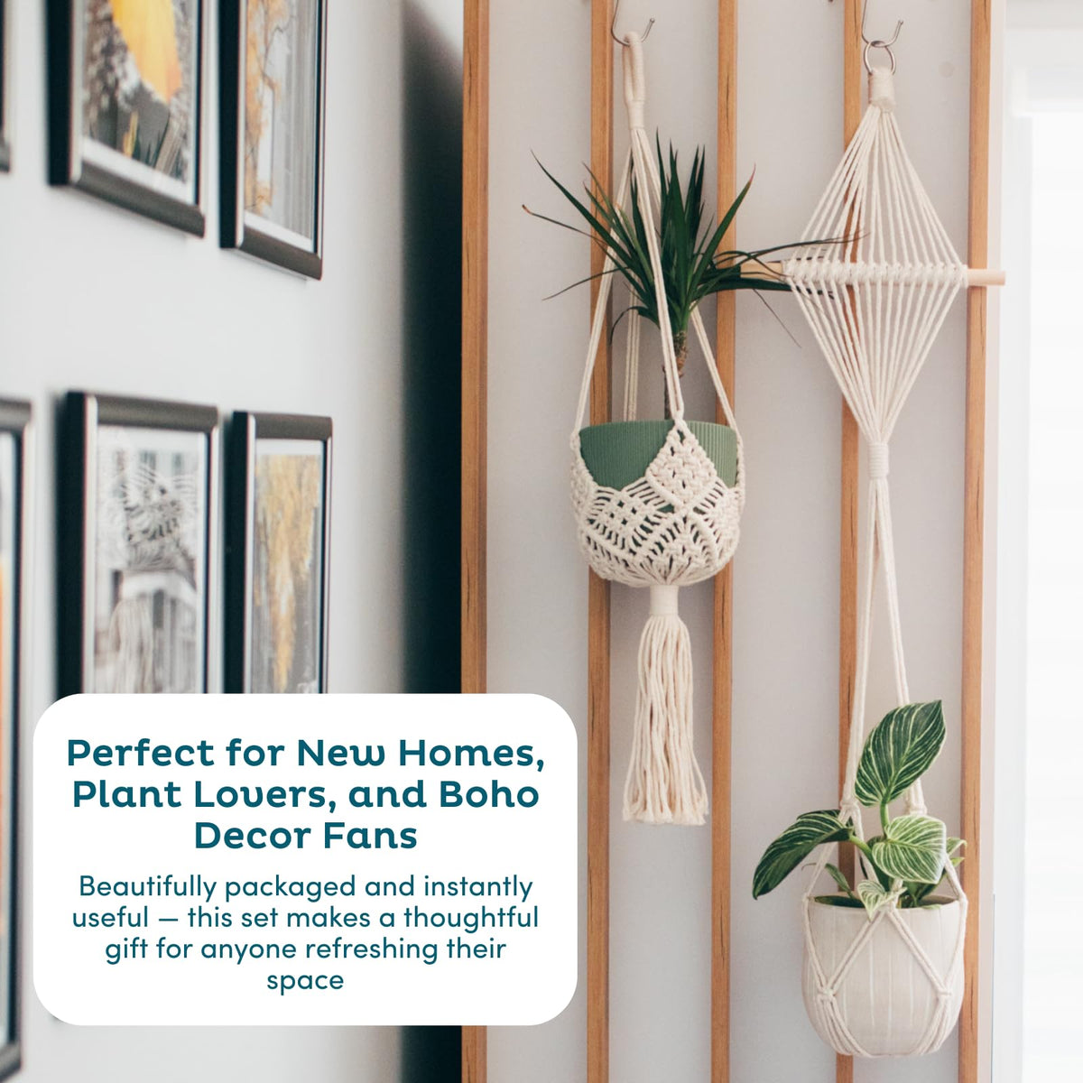 Nook Theory macrame planters with included hooks simplify setup.