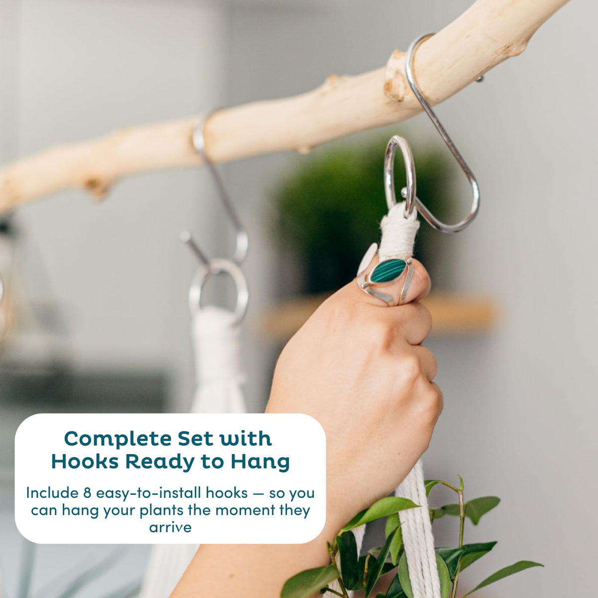 Nook Theory cream hanging planter demonstrates compatibility with up to 10-inch pots.