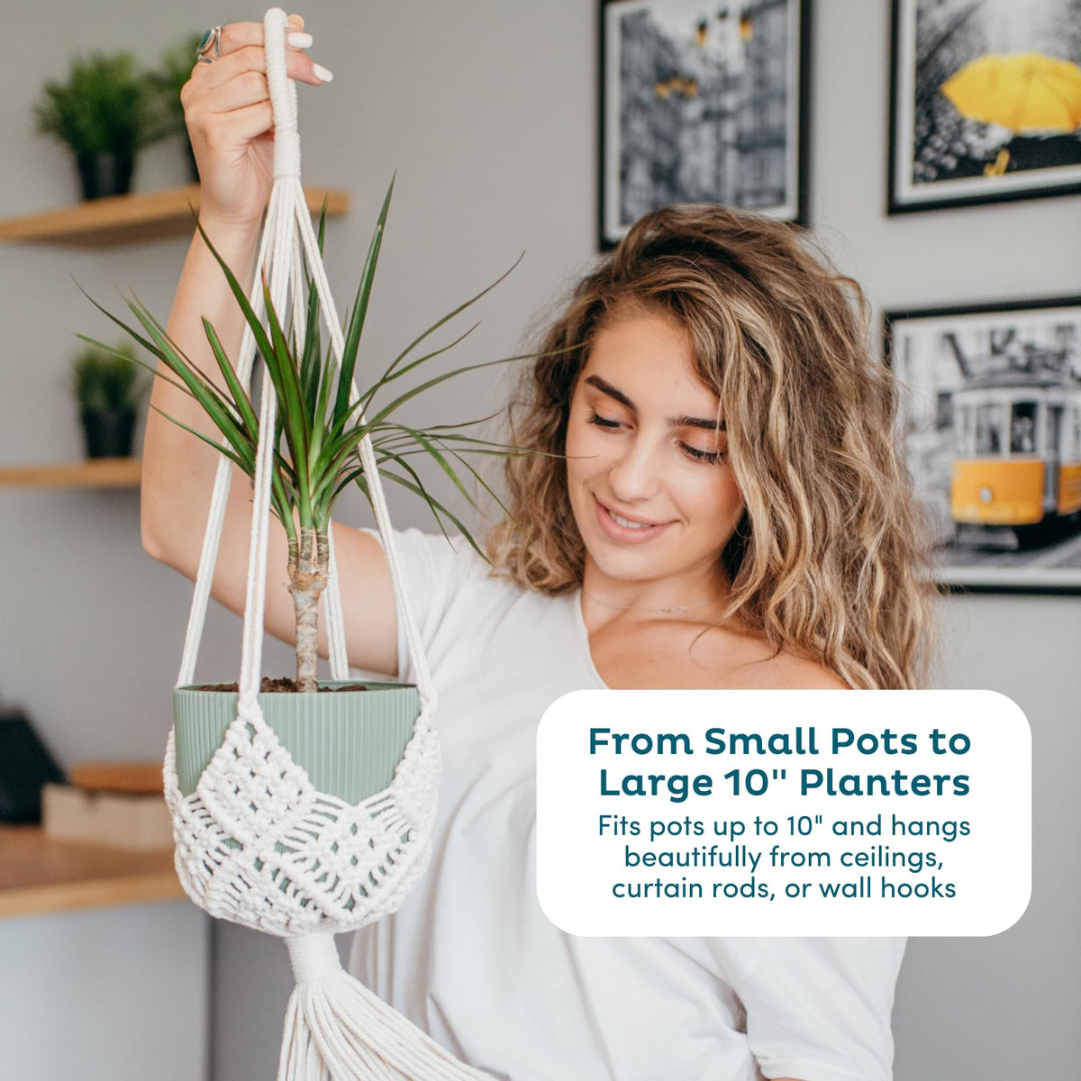Nook Theory 8-hook design secures lightweight plants confidently.