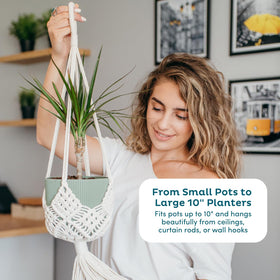 Nook Theory 8-hook design secures lightweight plants confidently.