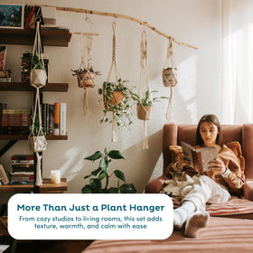 Nook Theory cohesive set enhances decor harmony across rooms