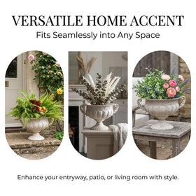 Nooneau Vintage Urn Planter's spacious opening accommodates varied plant sizes