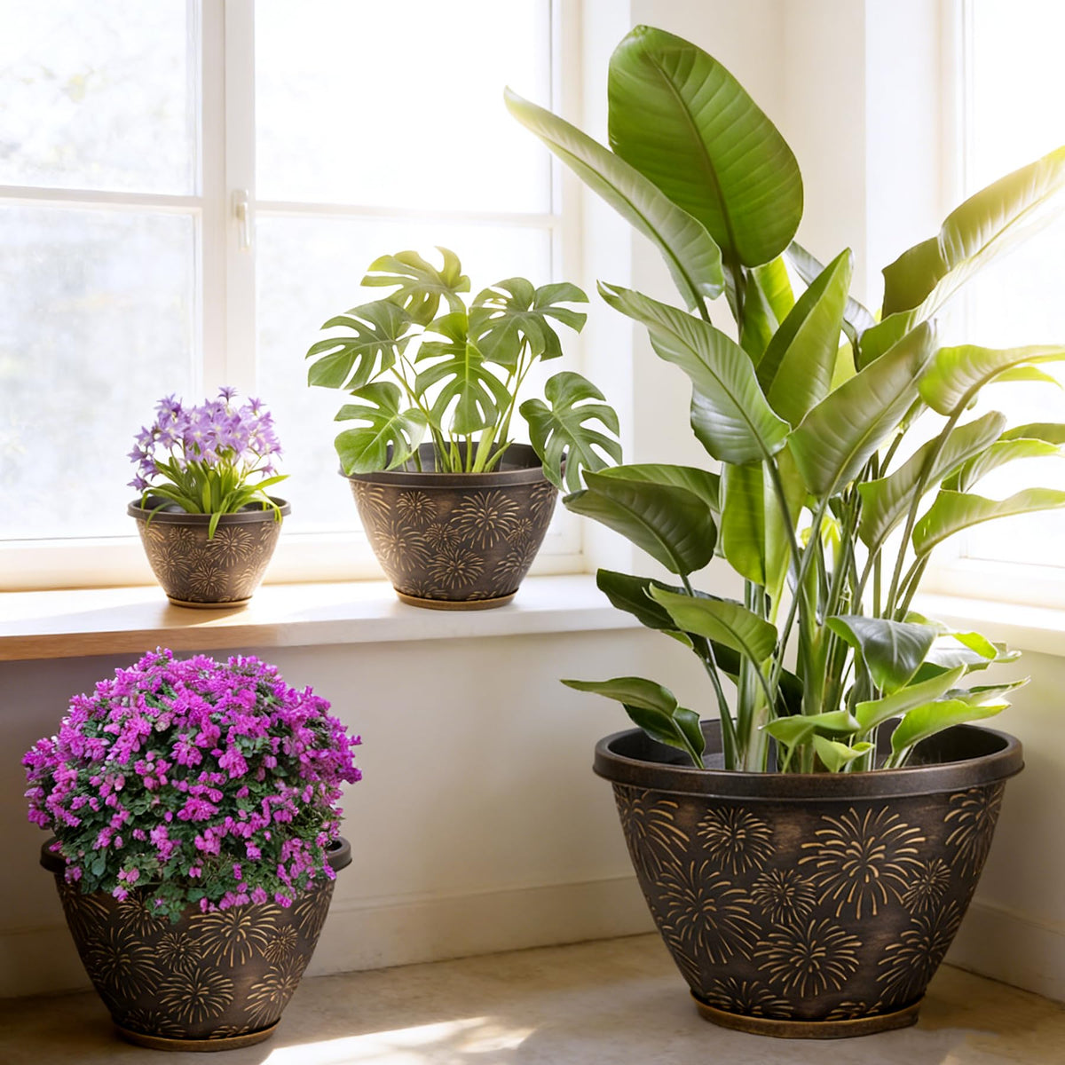Nooulap 10-inch indoor-outdoor pot on a sunny shelf.