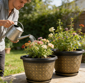 Nooulap pots with drainage holes and trays help manage excess water.