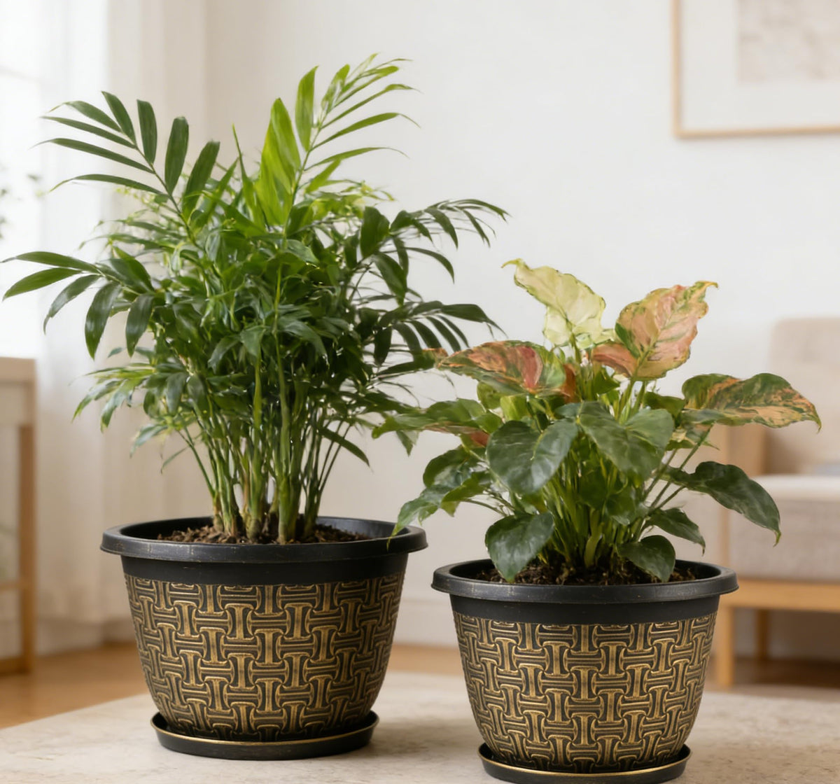 Nooulap retro-style antique imitation pots add vintage charm to garden spaces.