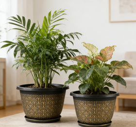 Nooulap retro-style antique imitation pots add vintage charm to garden spaces.