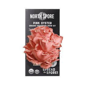 North Spore pink oyster kit box front view showing beginner-friendly setup for home cultivation.