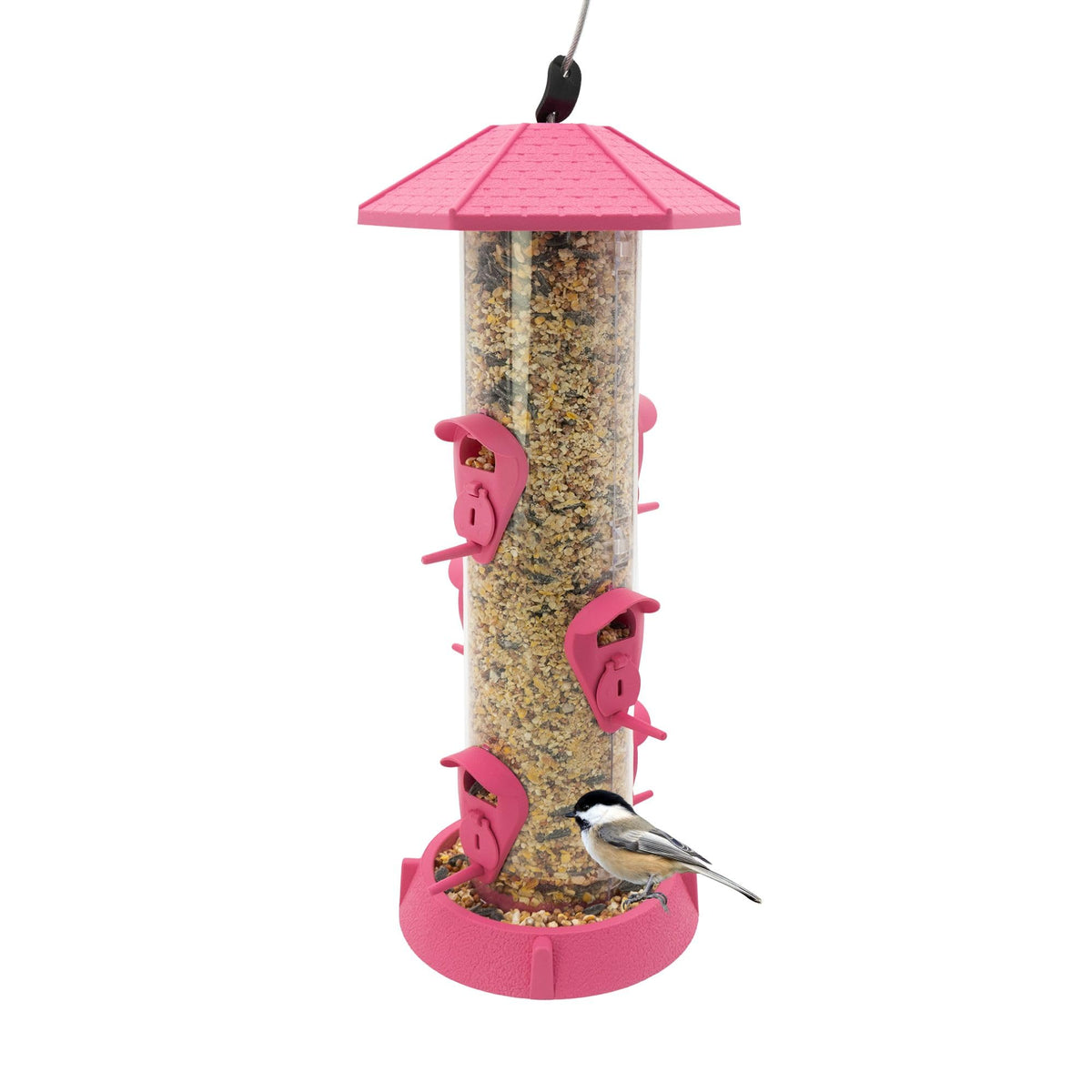 North States Fiesta Pink hanging birdfeeder in a sunny backyard for songbirds