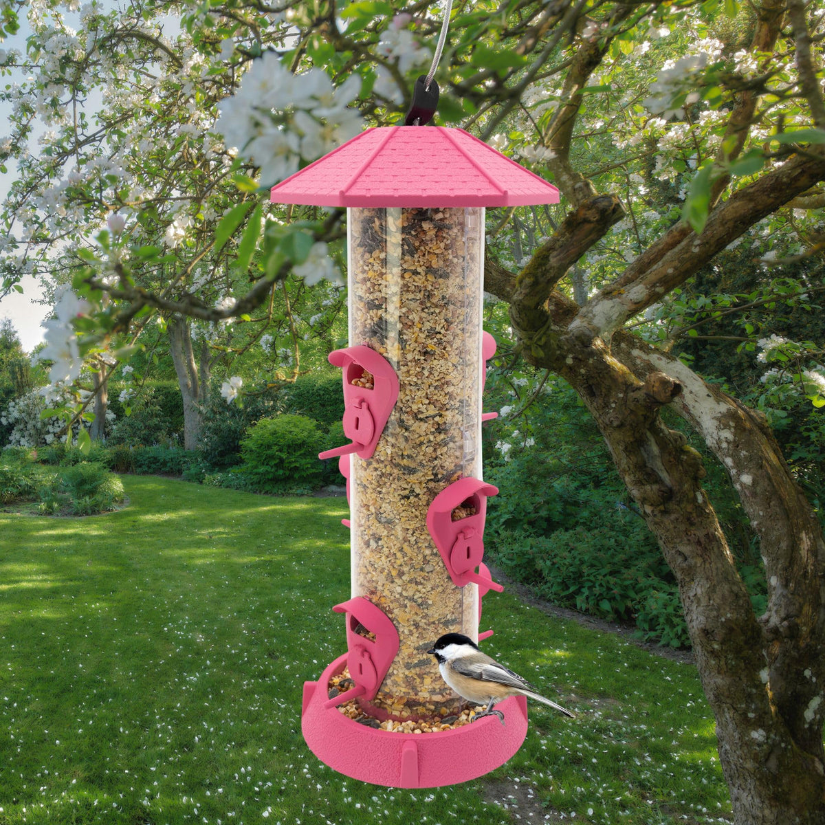 Removable seed tray on Fiesta Pink feeder for simple cleaning