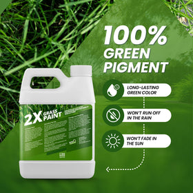 Not Rocket Sciences before-after image shows vibrant green transformation of a yellowed lawn.